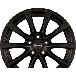 RE Black Glossy