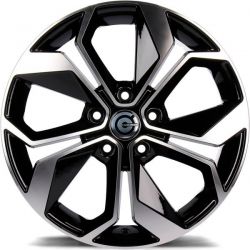 Raptor BFP - Black Front Polished