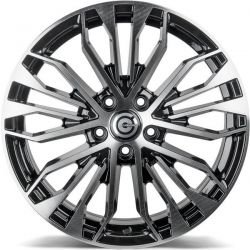 Reptile BFP - Black Front Polished