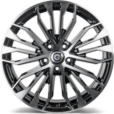 Reptile BFP - Black Front Polished Reptile BFP - Black Front Polished
