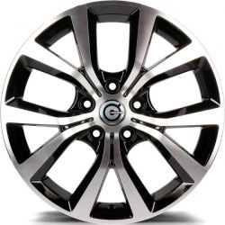 Texas BFP - Black Front Polished
