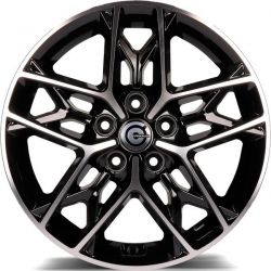 Venus BFP - Black Front Polished