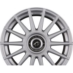 DM09 Silver Painted