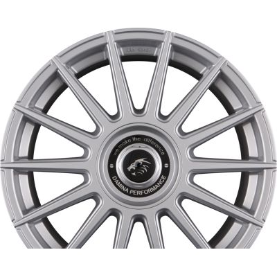 DM09 Silver Painted DM09 Silver Painted