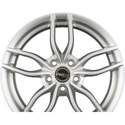 ZX100 Arctic Silver (AS)