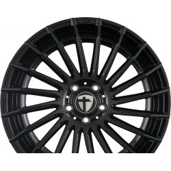 TN21 Black Painted