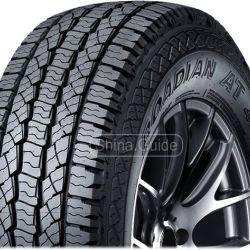 Roadian AT 4x4