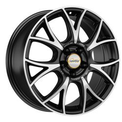 SL5 Vincitore JBMFCL