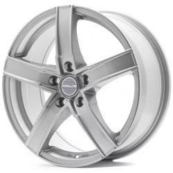 SX100 Metallic Silver (MS)