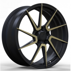 WS-50M gloss black lip gloss bronze