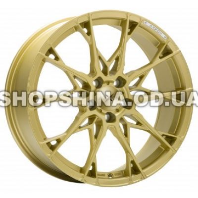 X1 Gold Matt Lackiert (GG)